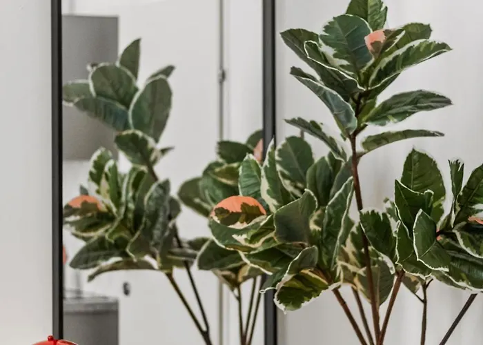Bright Hideaway, Augarten And Danube - 5 Min Metro - 10 Min Center
